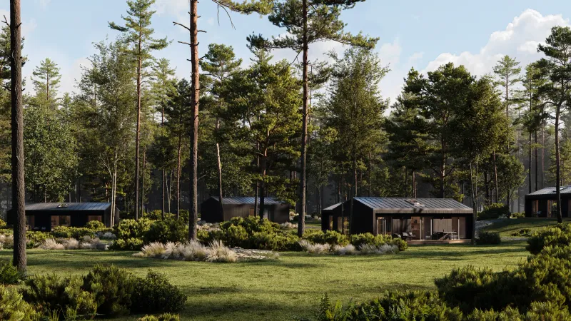 Architectural Rendering for Holz Homes — Modular Forest Cabins, view 5