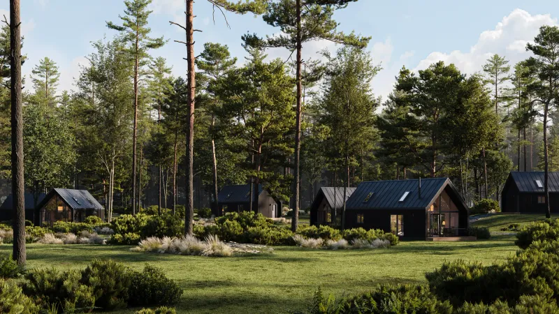 Architectural Rendering for Holz Homes — Modular Forest Cabins, view 10