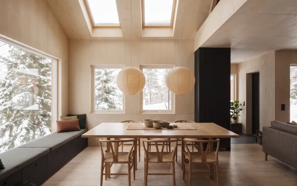 Warm Wood, Cold Forest