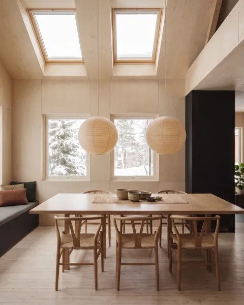 Warm Wood, Cold Forest