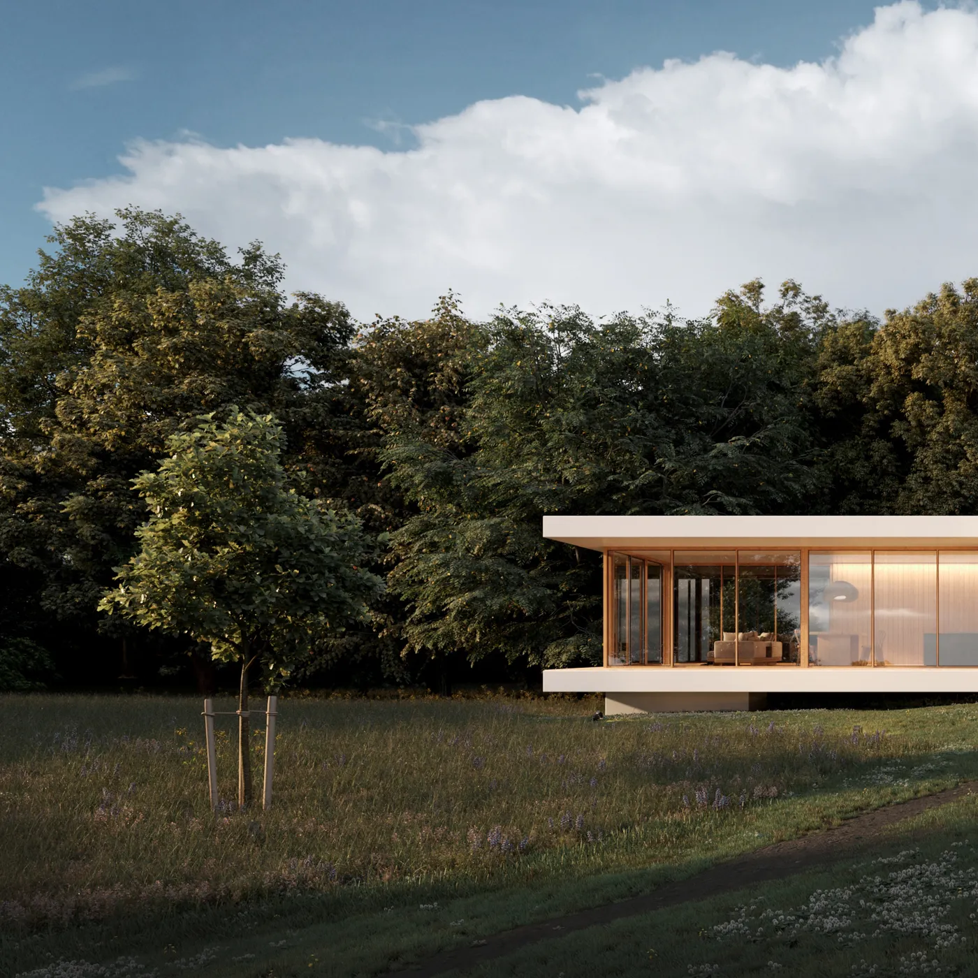 Residential client — Wildmeadow House