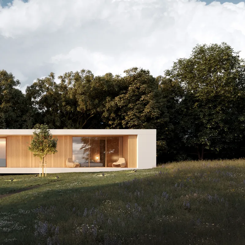 Residential client — Wildmeadow House — image 2