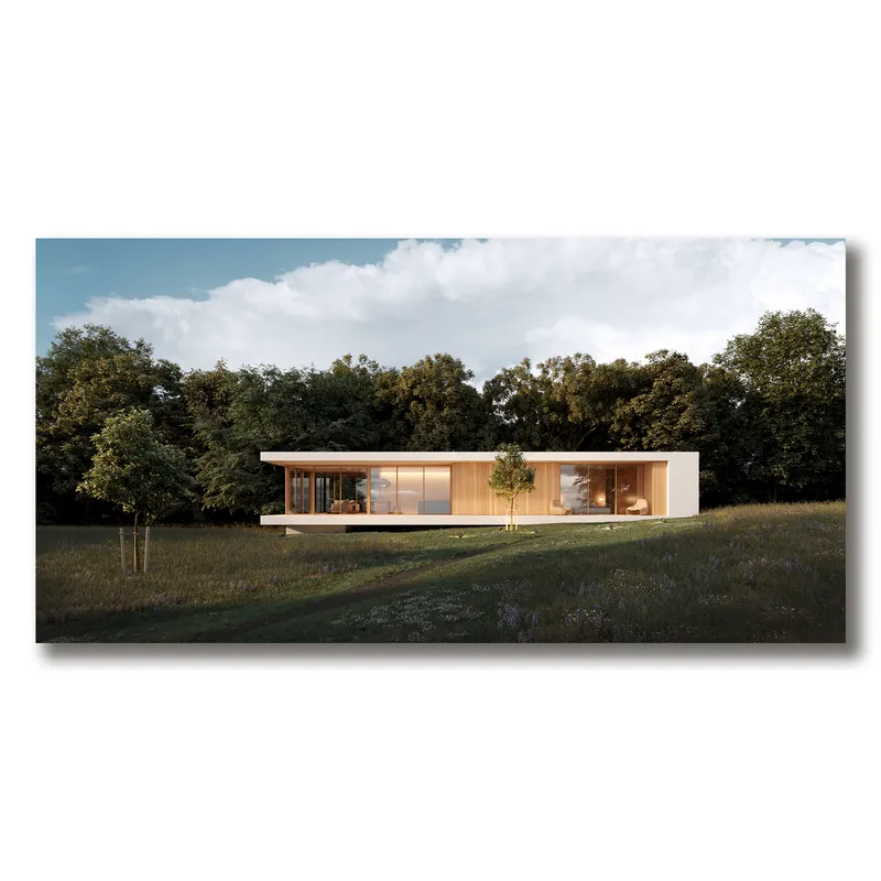 Residential client — Wildmeadow House — image 4